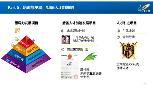 賦能組織，驅(qū)動(dòng)未來(lái) 鳳廠人力資源管理體系構(gòu)建與優(yōu)化