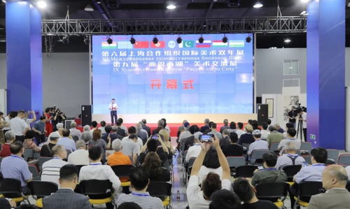 第六屆上海合作組織國(guó)際美術(shù)雙年展暨第九屆畫(huà)說(shuō)西湖美術(shù)交流展在杭州舉行，融合中外藝術(shù)交流